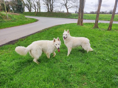 L'atelier De Chipie, Toiletteur pour Animaux à Landivisiau