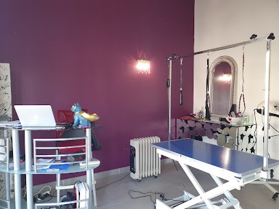 Fière Allure, Toiletteur pour Animaux à Saint-Marcellin