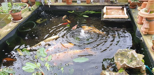 Le Fancyer Salon, Toiletteur pour Animaux à Montargis