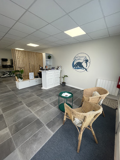 Dog D'opale Toiletteur Pour Animaux à Samer