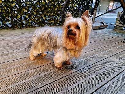 Bubble Dog, Toiletteur pour Animaux à Levallois-Perret