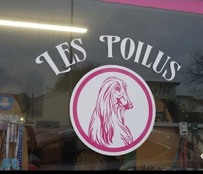 Les Poilus, Toiletteur Pour Animaux à Morcenx-la-Nouvelle