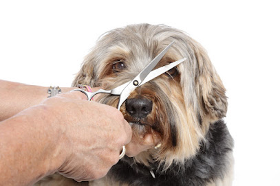Doogy Dog Toiletteur Pour Animaux à Saint-Pierre-La-Noue