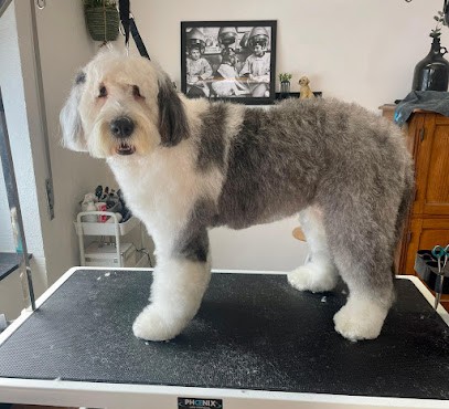 Au Nom D' Un Chien, Toiletteur pour Animaux à Lille