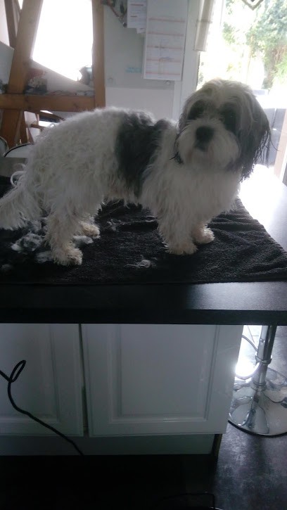 Chic'Wouaf, Toiletteur pour Animaux à Obersoultzbach