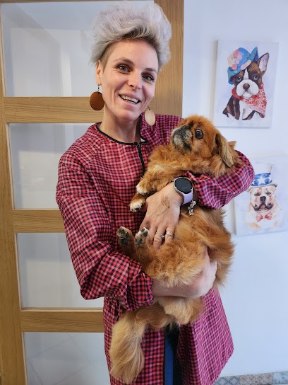 K'ouaf toutous, Toiletteur pour Animaux à Hirson