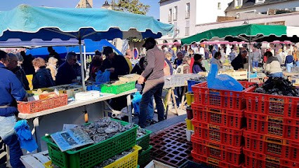 La Toutouniere Pierrette BIGNON, Toiletteur pour Animaux à Dives-sur-Mer