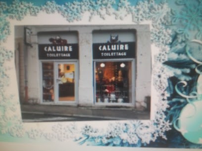 Caluire Toilettage, Toiletteur pour Animaux à Caluire-et-Cuire