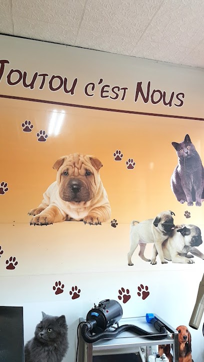 Dupontreue Marie-jose Claudine, Toiletteur pour Animaux à Noailles