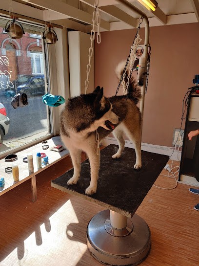 Au Chien Chic, Toiletteur pour Animaux à Wattrelos