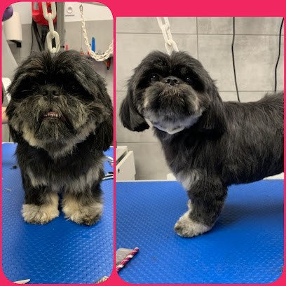 Au Bonheur Du Chien, Toiletteur pour Animaux à Issoire