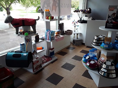 4 Pat' & Co, Toiletteur pour Animaux à Lille