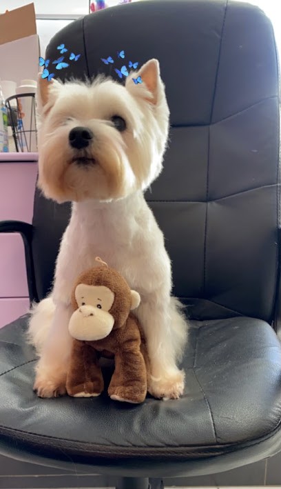 Beauté Canine, Toiletteur pour Animaux à Saint-Seurin-de-Cursac