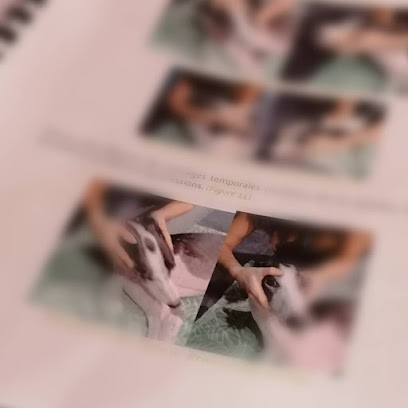 Lady vegane Dog, Toiletteur pour Animaux à Reims