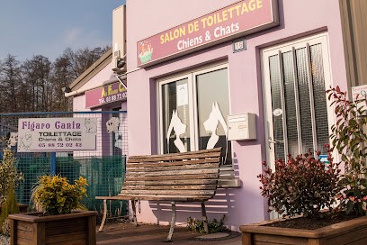 Toiletteur Haguenau - Au Figaro Canin, Toiletteur pour Animaux à Schweighouse Sur Moder