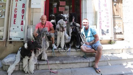 Au Caniche Royal, Toiletteur pour Animaux à Lorgues