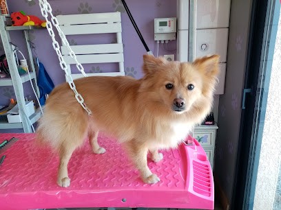 La Passion Des Toutous ( Uniquement Sur Rendez-vous), Toiletteur pour Animaux à Eclose-Badinières