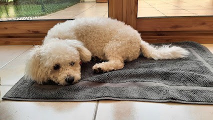 Patte De Velours, Toiletteur pour Animaux à Nantes