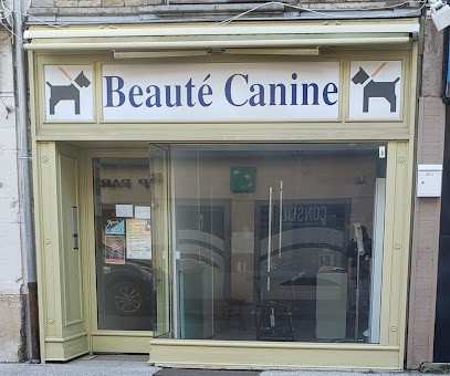 Beauté Canine, Toiletteur pour Animaux à Chaumont