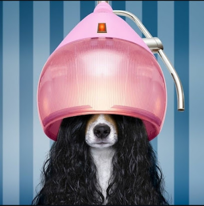 L'atelier De La Belle, Toiletteur Pour Animaux à Zonza