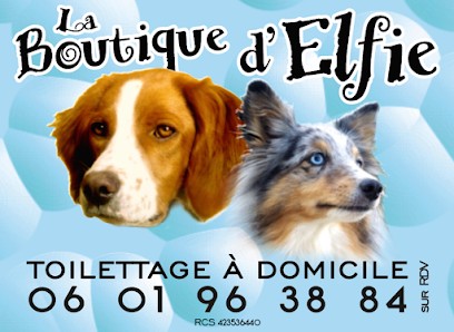 La Boutique D'Elfie, Toiletteur pour Animaux à Saint-Pargoire