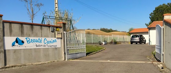 Toilettage Beauté Canine, Toiletteur pour Animaux au Fossat