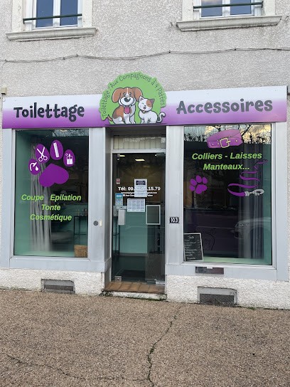 Toilettage aux compagnons à 4 pattes, Toiletteur pour Animaux à Montchanin