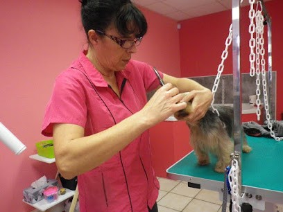 Au Temps de Chien, Toiletteur pour Animaux à Agen