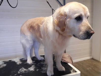 Au Poil Toilettage, Toiletteur pour Animaux à La Brède