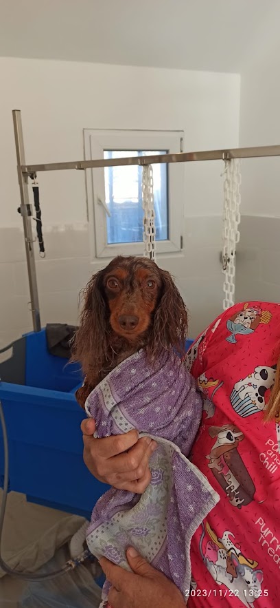 Fos Toilettage, Toiletteur Pour Animaux à Fos-sur-Mer