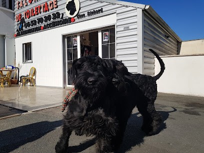 Salon de Toilettage Chez Richard a Saintes, Toiletteur pour Animaux à Saintes