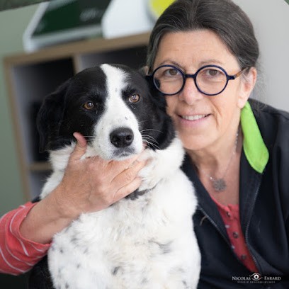 Un Amour De Poils, Toiletteur pour Animaux à Maen Roch
