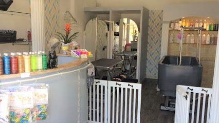 Le Salon de Barbara, Toiletteur pour Animaux à Mouans-Sartoux