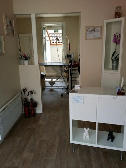 Brin De Toilette, Toiletteur pour Animaux à Montrond-les-Bains