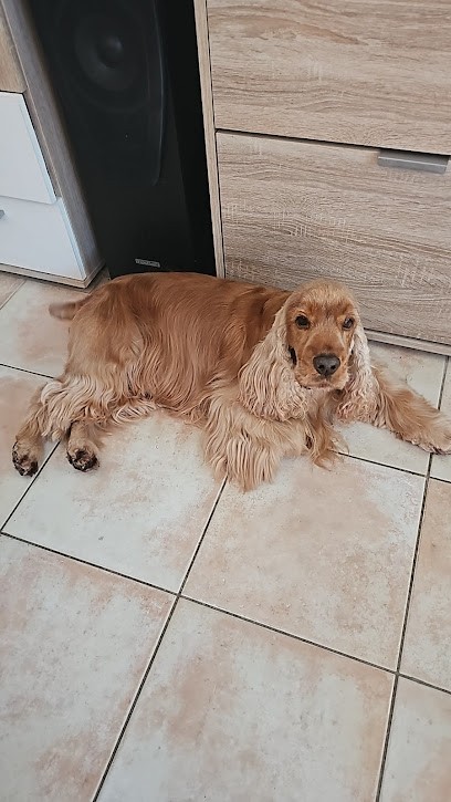 4 Pattes Et Compagnie, Toiletteur pour Animaux à Port-Jérôme-sur-Seine