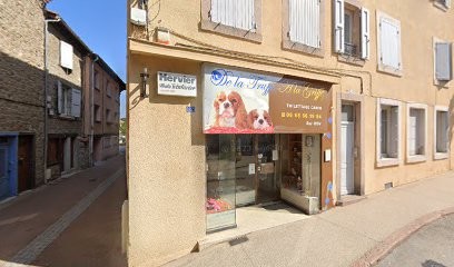 De La Truffe A La Griffe, Toiletteur pour Animaux à Saint-Symphorien-sur-Coise