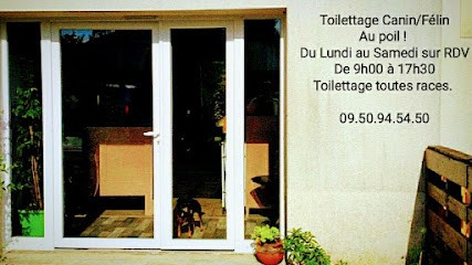 Au Poil Doré - Toilettage Canin/Félin Et NAC, Toiletteur pour Animaux à La Limouzinière