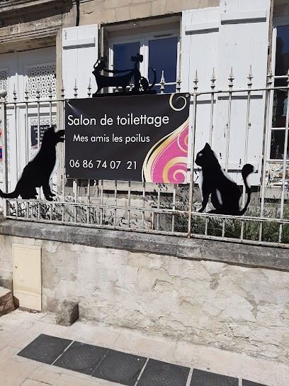 Salon de toilettage, Toiletteur pour Animaux à Villers-Cotterêts