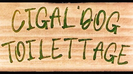 Cigal'Dog Toilettage, Toiletteur pour Animaux à Saint-Hippolyte-du-Fort