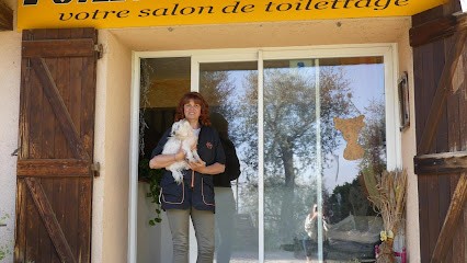Toilette M'Ouah, Toiletteur pour Animaux à Spéracèdes
