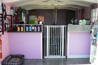 Calinou Toutou, Toiletteur pour Animaux à Biganos