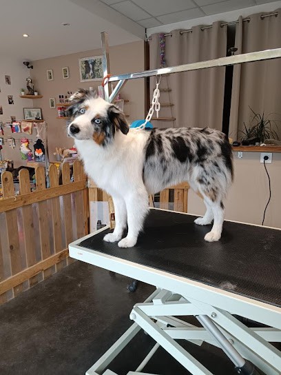 Salon De Toilettage Un Poil Plus Zen, Toiletteur pour Animaux à Plescop