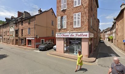 Les Chiens Du Vallon, Toiletteur pour Animaux à Marcillac-Vallon