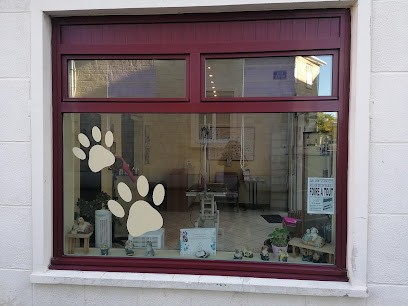 Le Cabotin, Toiletteur pour Animaux au Hom