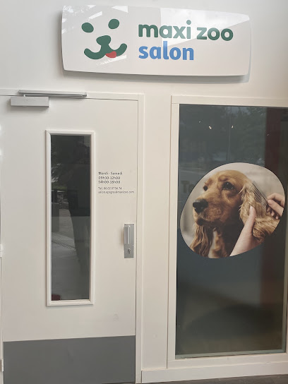 Salon De Toilettage Maxi Zoo - Épagny Toiletteur Pour Animaux à Epagny Metz-Tessy