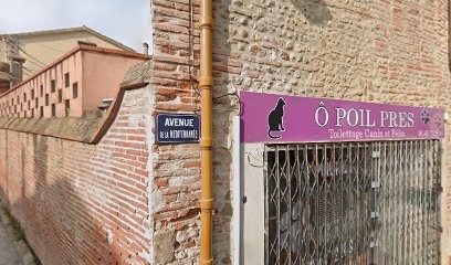 Saleilles Toilettage, Toiletteur pour Animaux à Saleilles