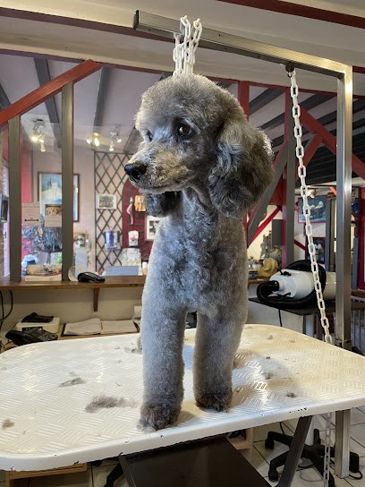 L'Arche De Vicky, Toiletteur pour Animaux à Sully-sur-Loire