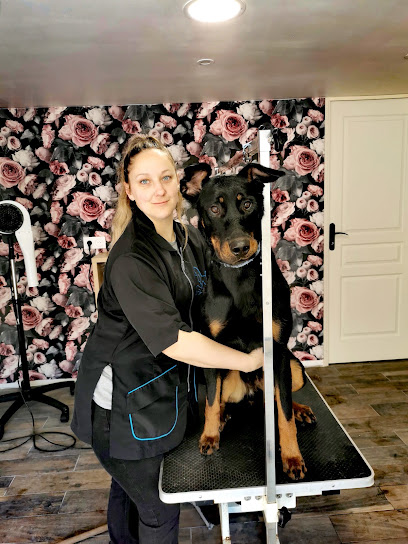 Bubble Dogs Toiletteur Pour Animaux à Beauvois-en-Cambrésis