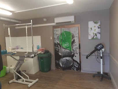 Salon de toilettage - Passion Canine, Toiletteur pour Animaux à Franqueville-Saint-Pierre