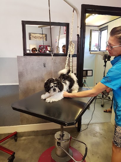 M Toutou, Toiletteur pour Animaux au Fenouiller